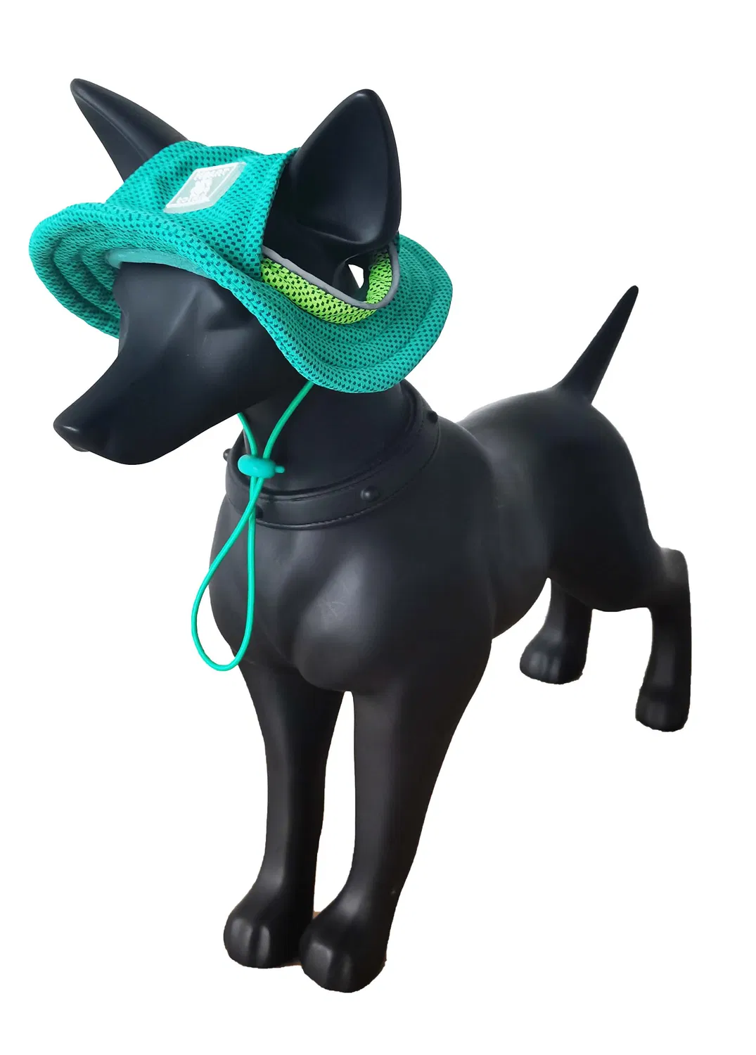 アルディの新しいサマースイム